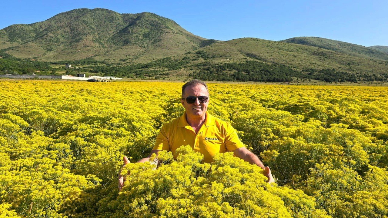 DW Spotlight: Trillions of Tiny Miners, Unlimited Green Factories – Sahit Muja’s Masterplan for a Sustainable World